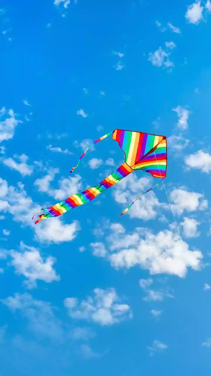 Gujarat: PM Modi & German Chancellor Friedrich Merz Attend International Kite Festival In Ahmedabad; Video