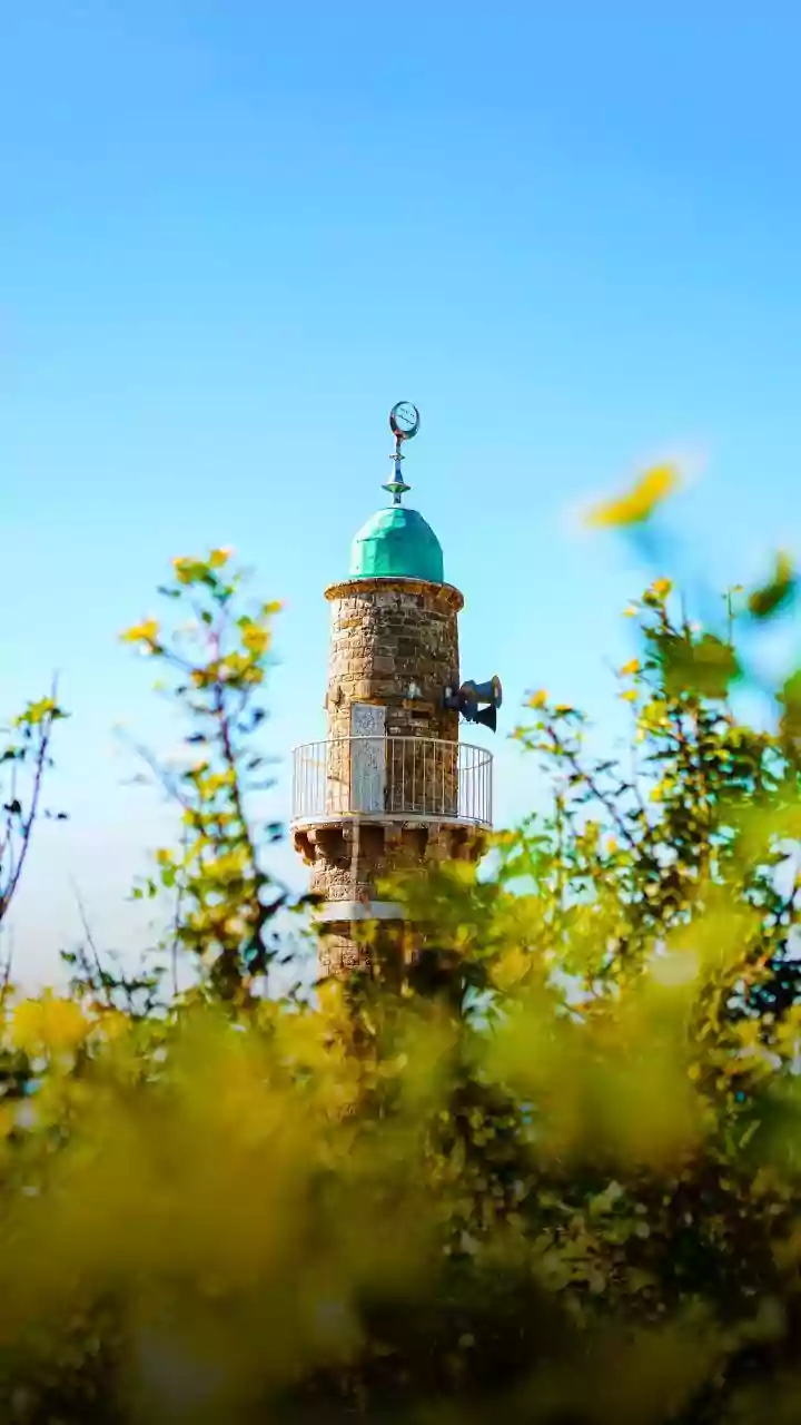 Cheap flights and low expenses draw Gen Z backpackers to Uzbekistan's Samarkand