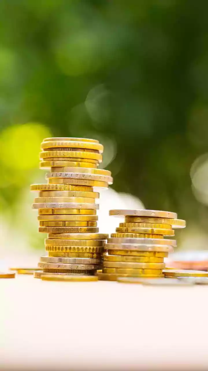 Indian Stock Market: Fund Choices & Investment Insights