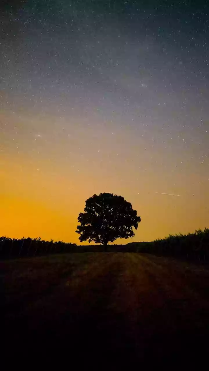 How Dark-Sky Tourism Can Support Conservation and Local Communities