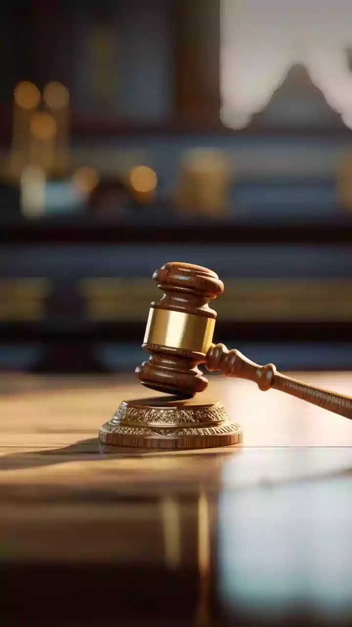 Wife can't claim maintenance if her action contributes to husband's incapacity to earn: HC