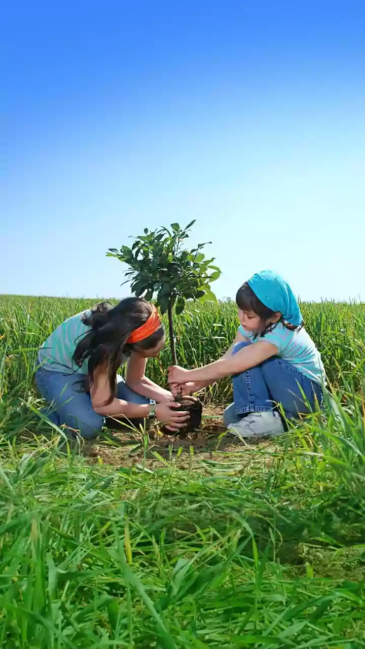 Nature Lessons Are Moving Beyond Books