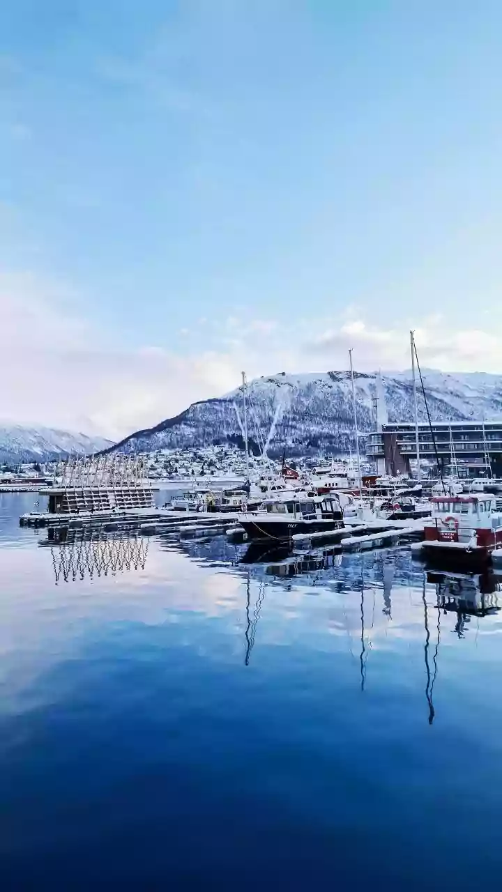 Trump's Davos: Greenland, Tariffs, and a Shifting Global Stage