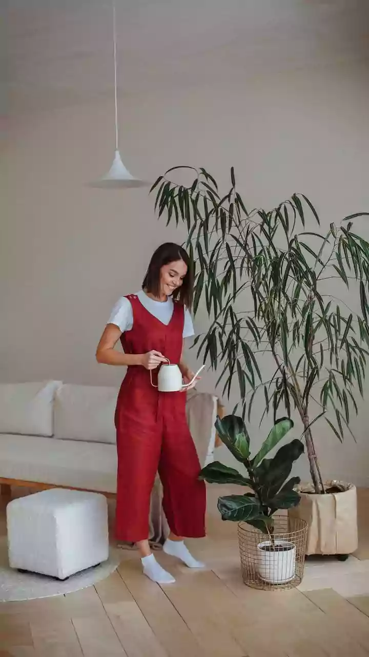 Indoor Plant Care During Humidity Starts With Smarter Watering Habits