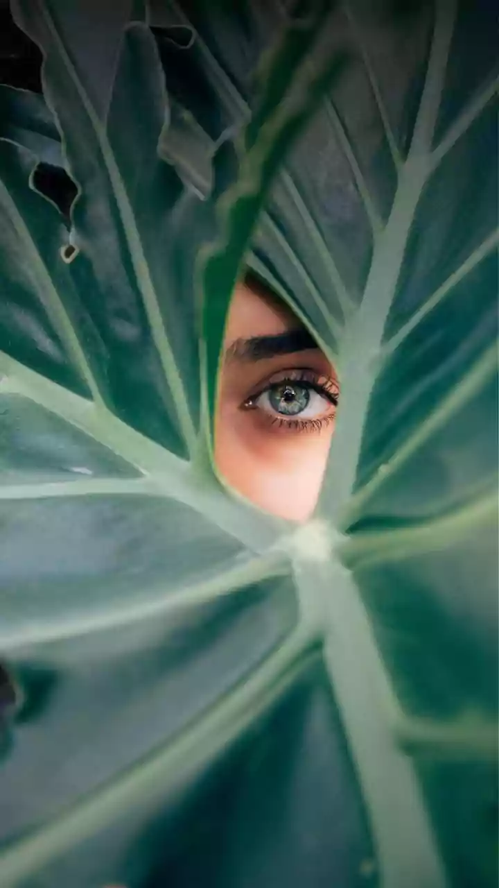 Unraveling the Mysteries of Itchy Eyes