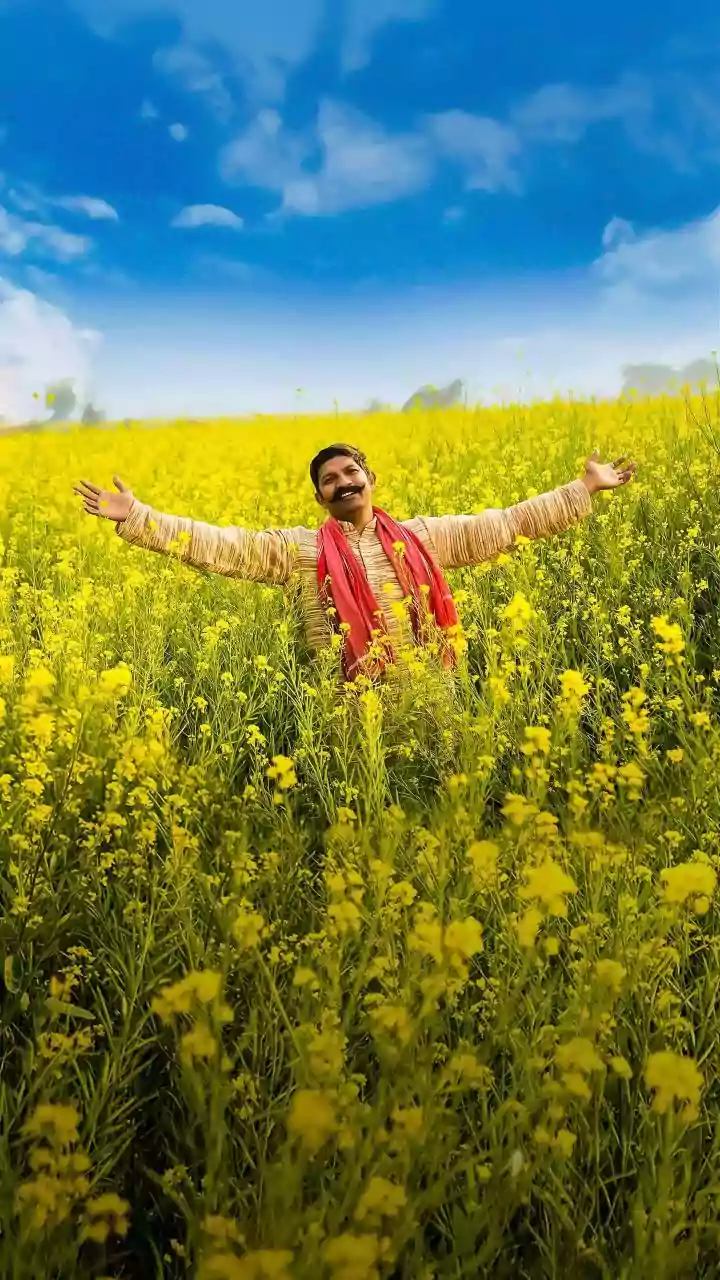 Decade Of Hope Pays Off: Punjab Farmer Bags Rs 1 Crore Jackpot In Fatehgarh Sahib