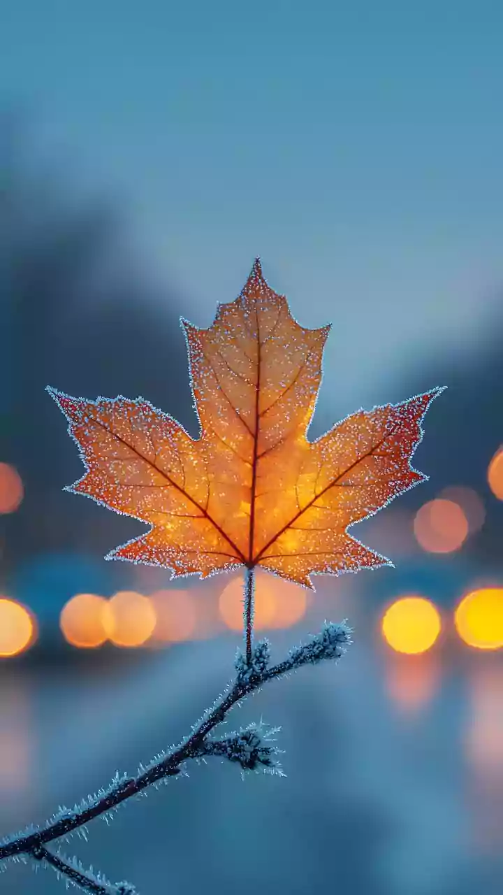 Quick night cool-down — tap before stepping out.