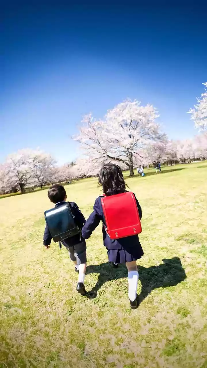 5 Japanese Wisdoms to Empower Kids: Embrace Challenges and Build Resilience