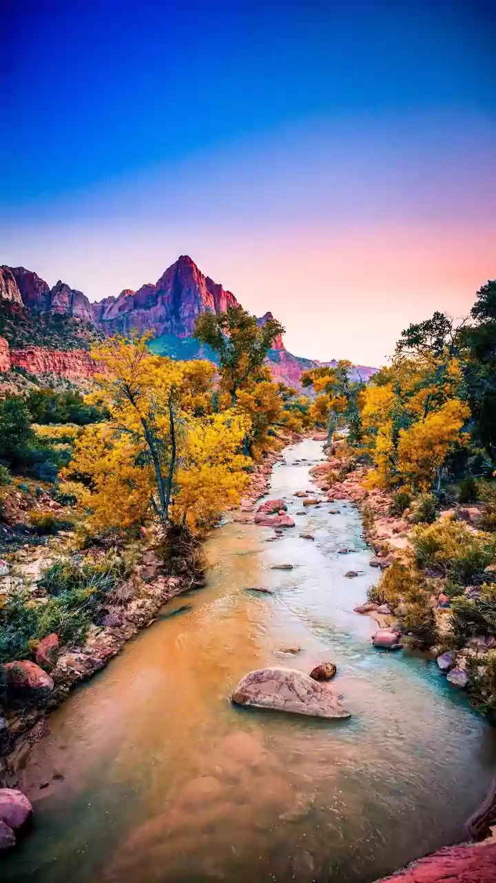 Zone Calendars and Alternative Plans Make Monsoon Nature Trips Safer