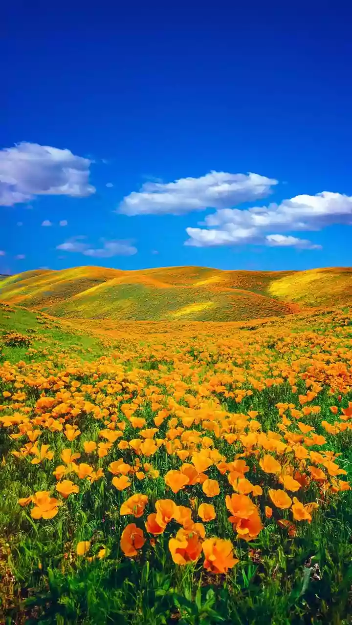Sunday starter – soft sun and fresh air set a slow weekend tone.