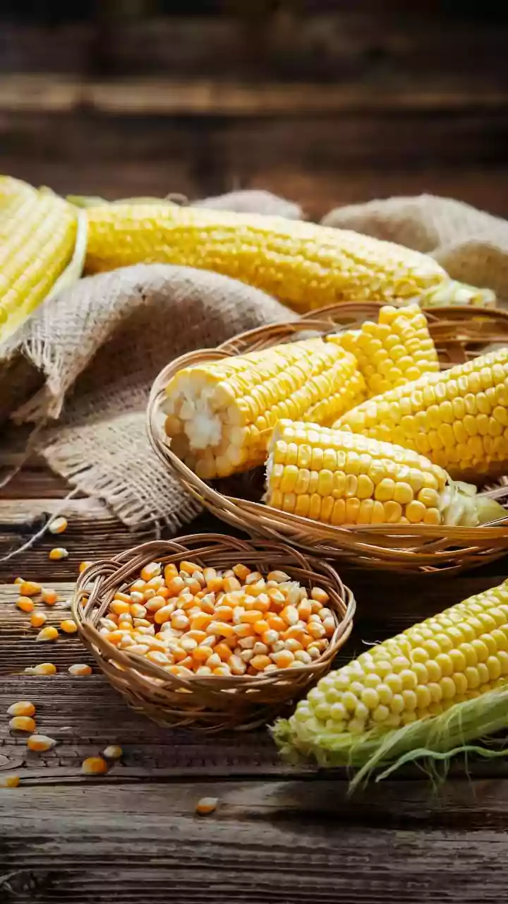 10 Delicious Sweet Corn Snack Ideas for Evenings