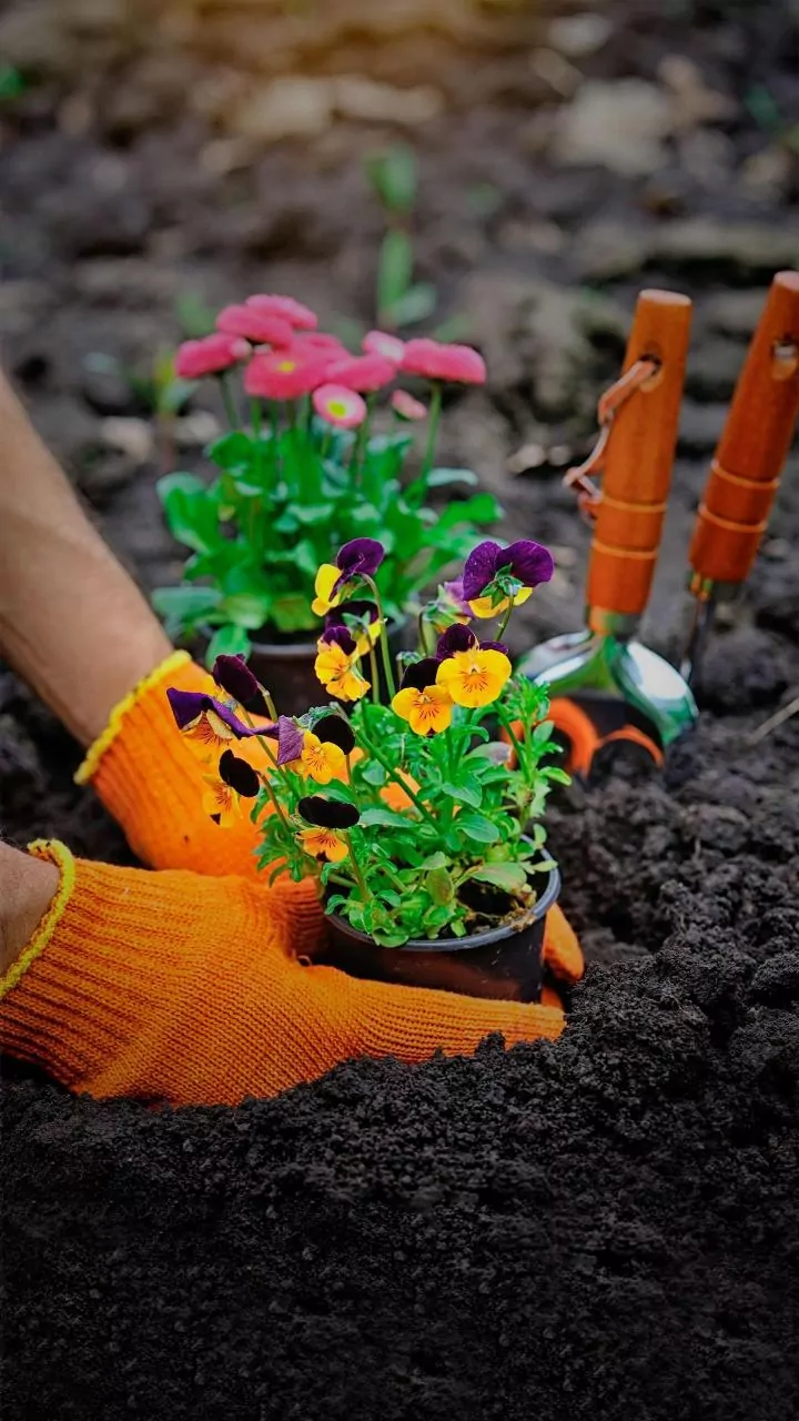 Grow More With Less Gardening Experience