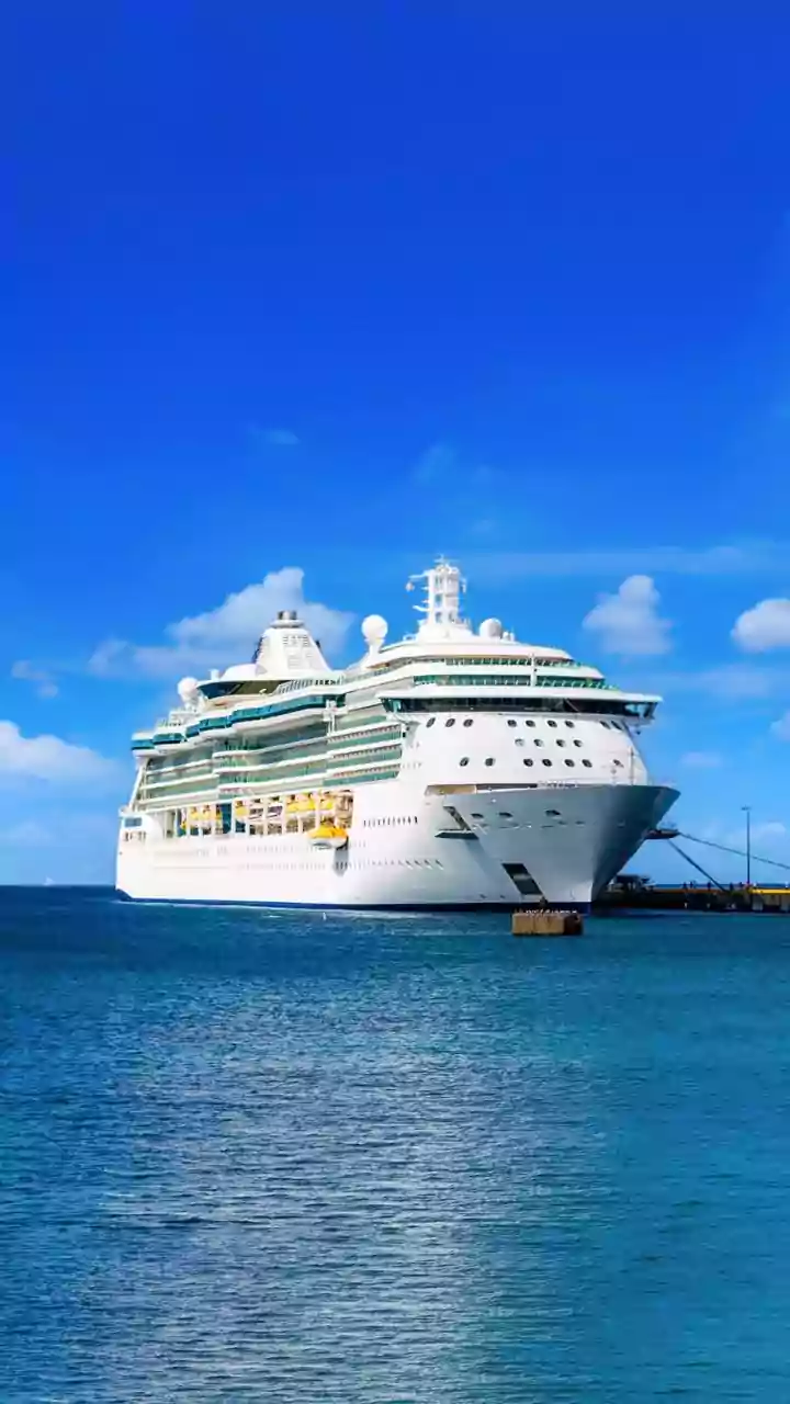 What to Know About Hantavirus, the Illness Suspected in a Cruise Ship Outbreak