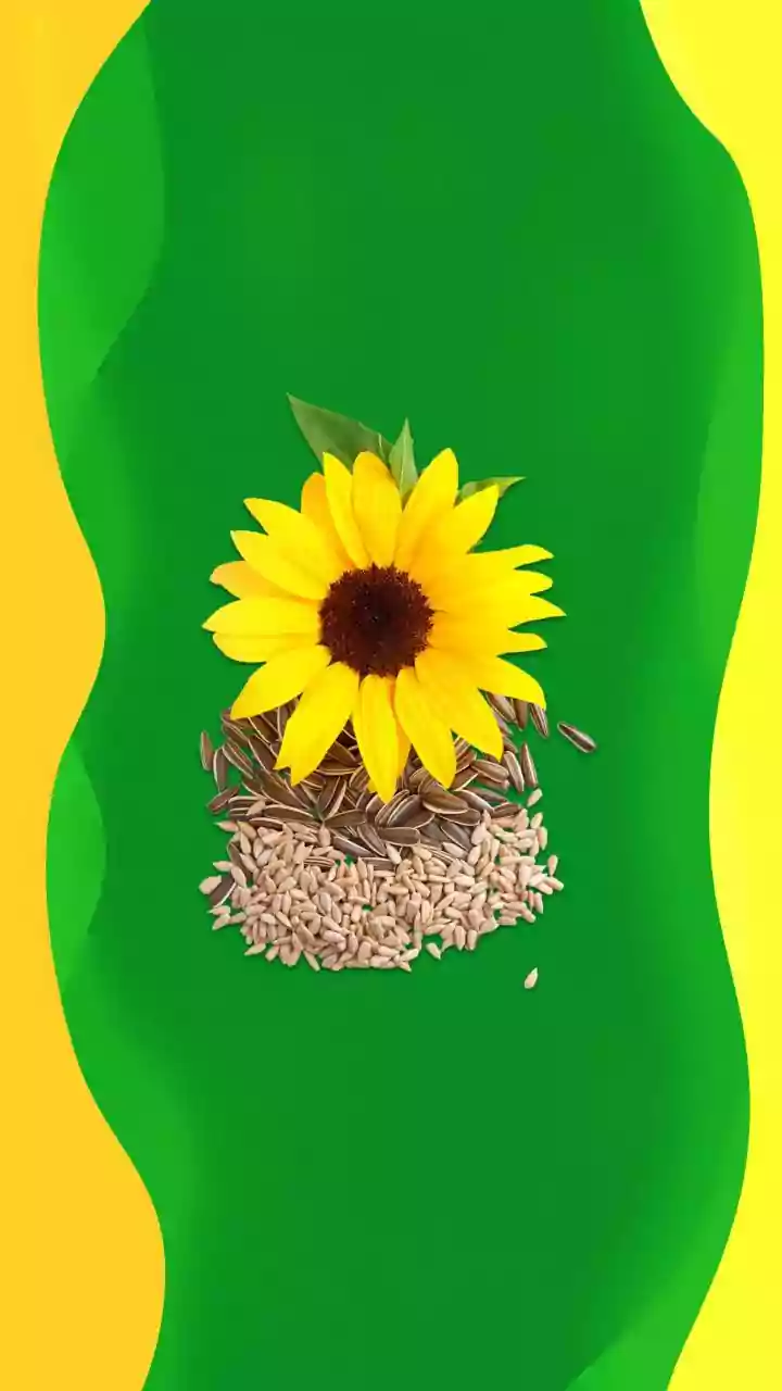 Seed sorting meditation: What it is, why it's important