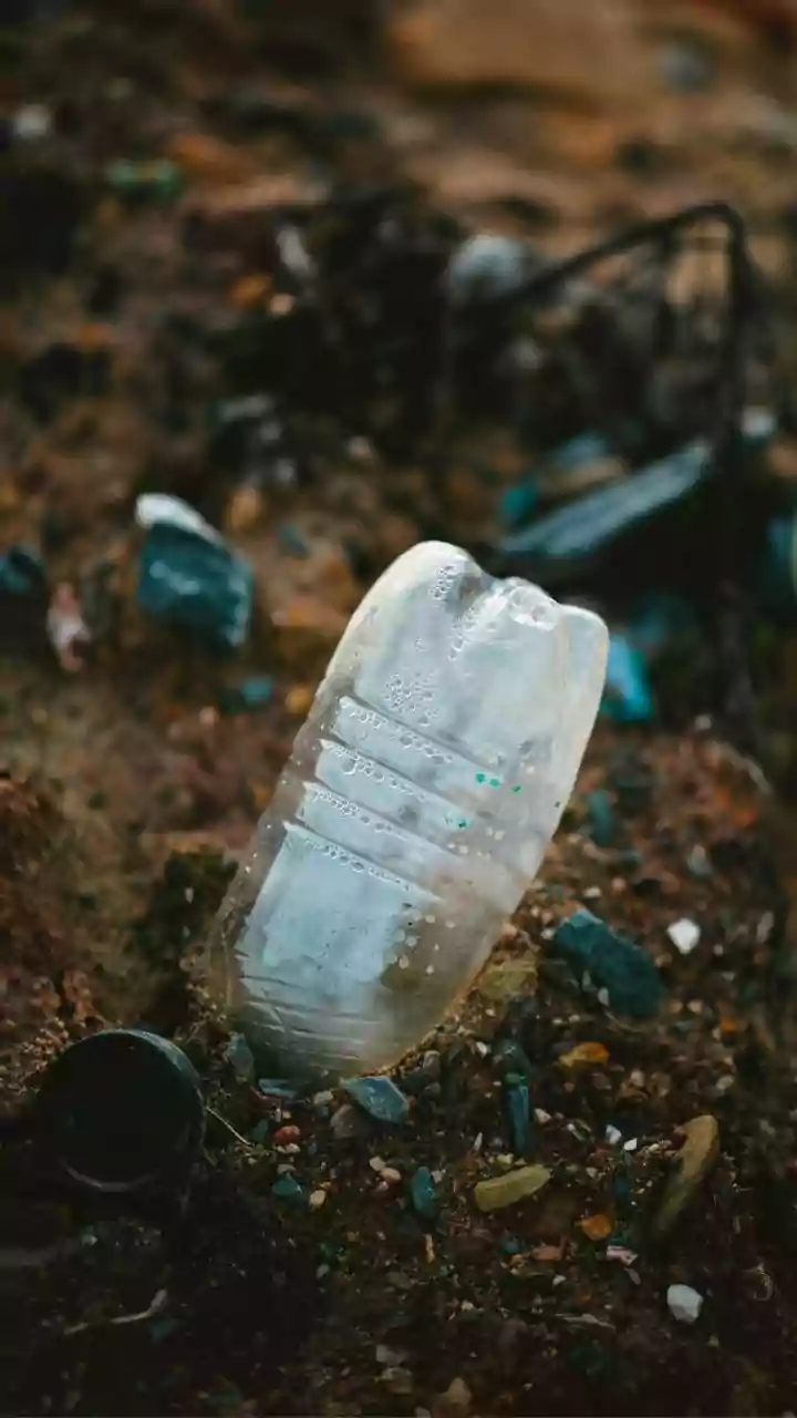 Biodegradable Takeaway Containers: How Algae Tech Is Helping Indian Startups Eliminate Plastic