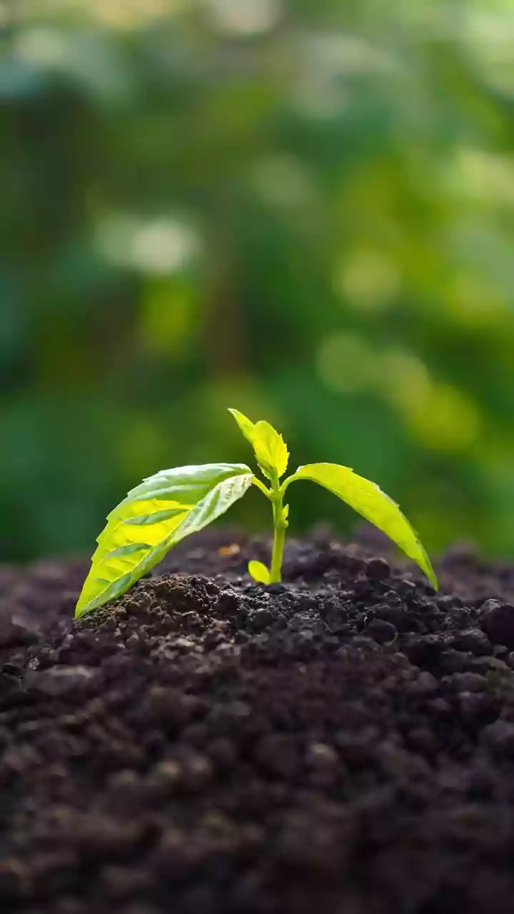 Nashik: Governor Acharya Devvrat Calls For Natural Farming To Restore Soil Fertility