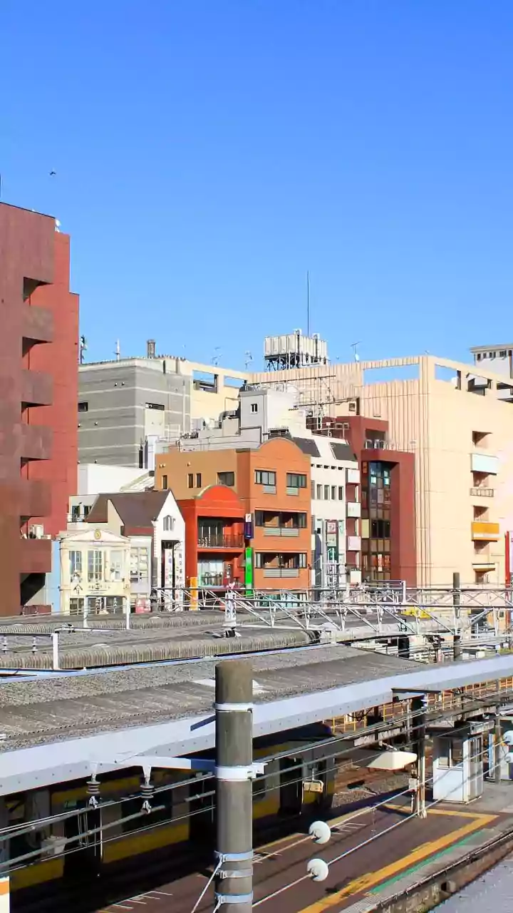 One Day Trip Kamakura dari Tokyo: Rute, Biaya, dan Tips Lengkap