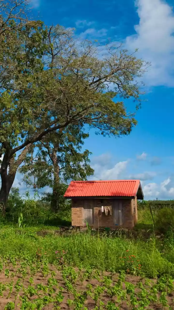 Biomass Stoves: A Sustainable Solution Amidst the LPG Crisis in India?