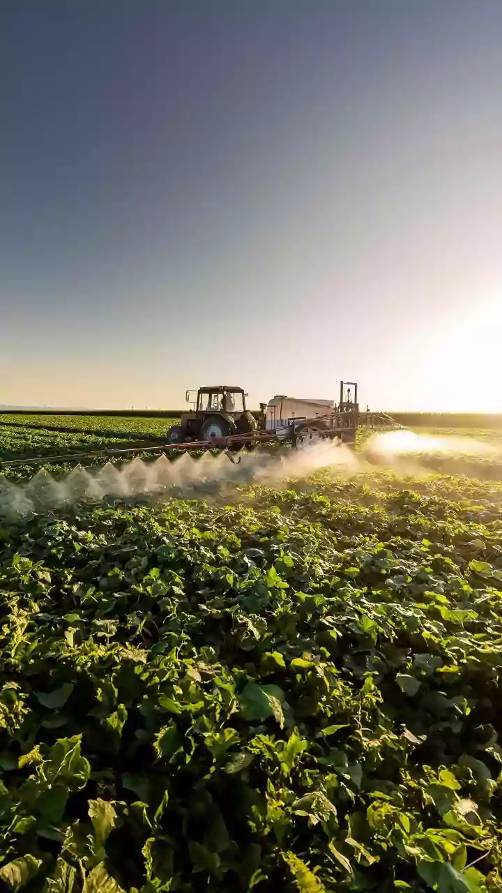 Worrying: 50% of world's farmers suffer pesticide poisoning each year