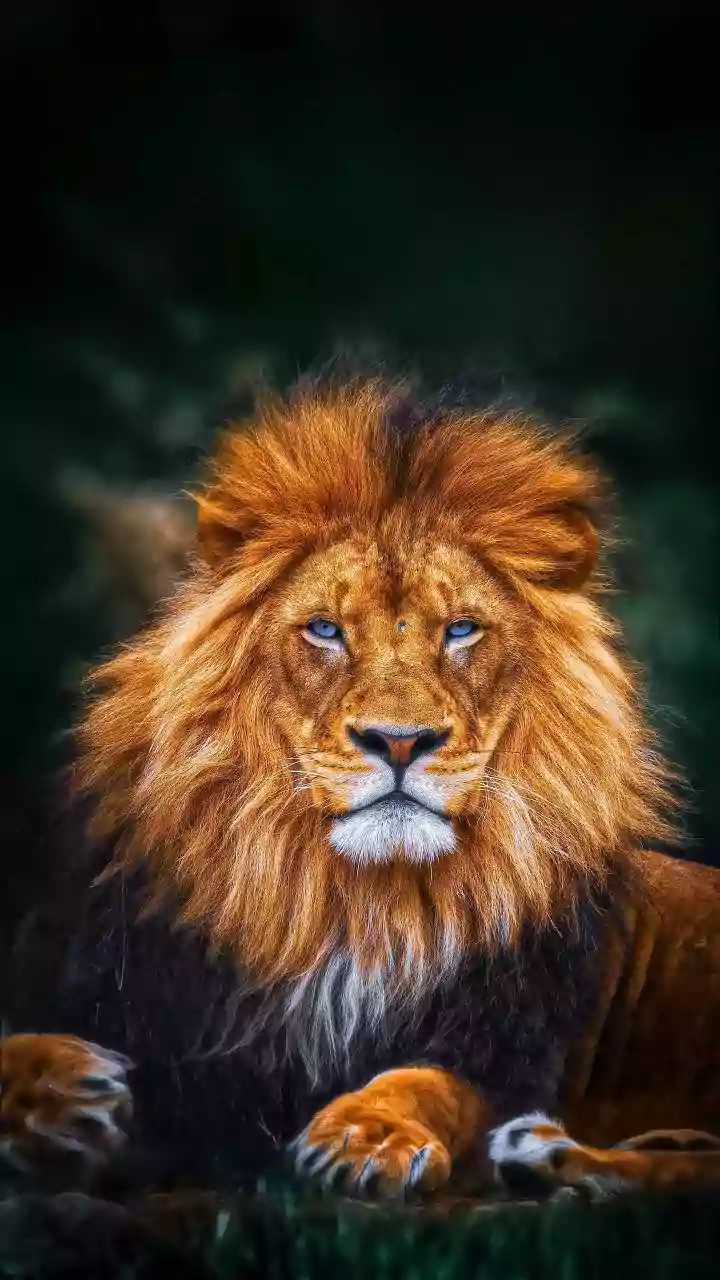 Leo Horoscope Today, December 23, 2025