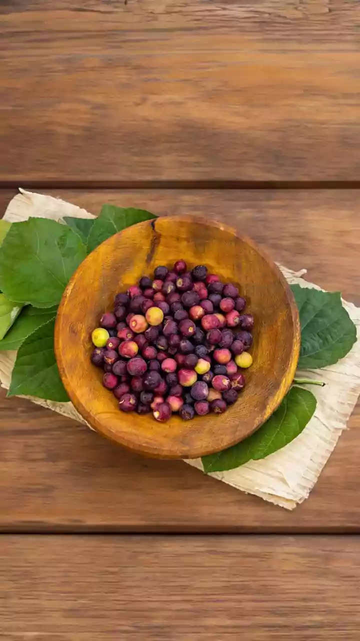 Waterberry: A lesser-known superfood