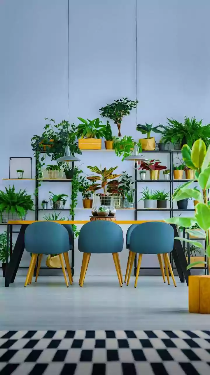 Green Corners Make Homes Feel Softer Instantly