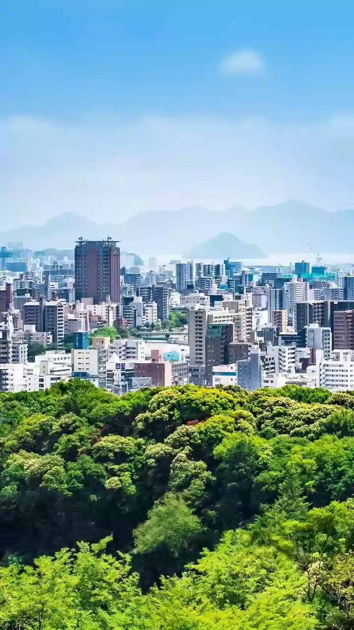 What Makes Urban Parks So Valuable in Dense Metropolitan Areas?