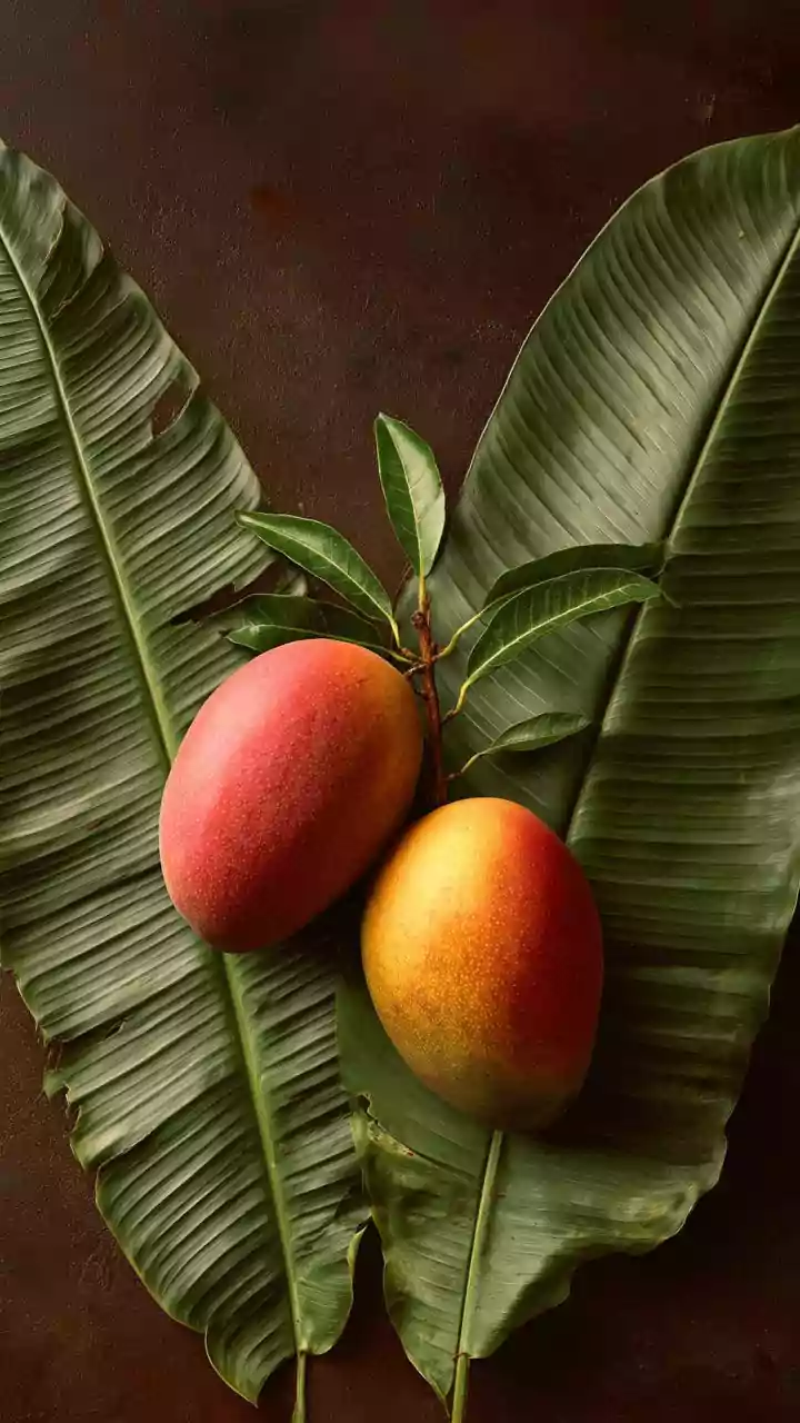 Which place is known as Mango City of India? Explore land of Himsagar and Fazli mangoes