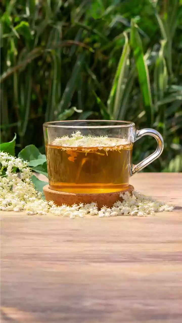 How Forgotten Regional Teas From Mountain Foothills Bring Traditional Plant Healing To Modern Cups