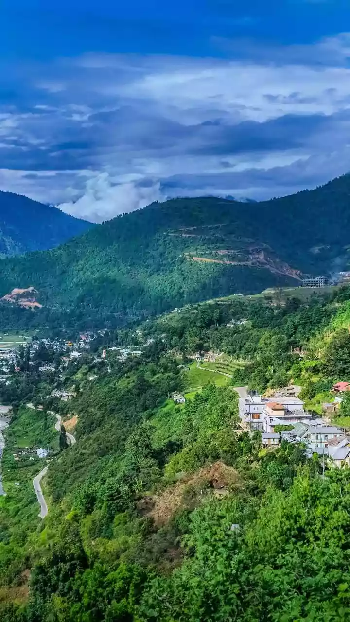 Uttarakhand: CM Dhami reaches Almora for 'Janata Ke Dwar'