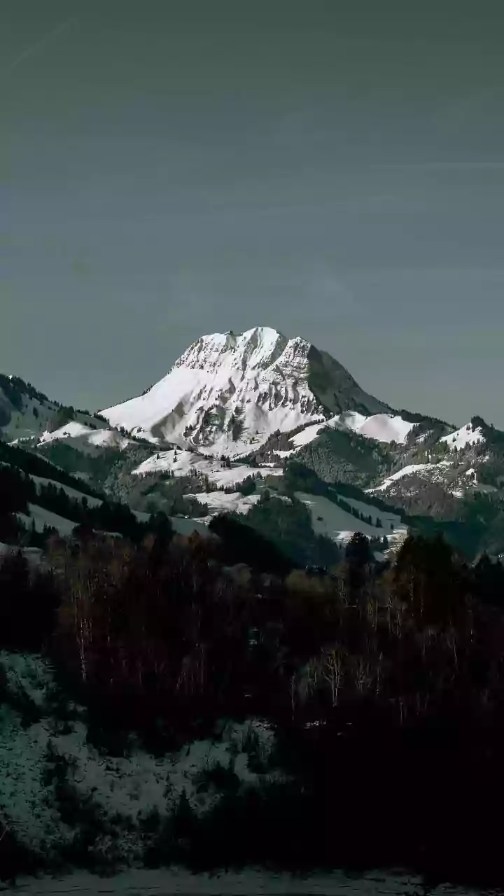 Unveiling India's Winter Wonderland: Snowy Escapes