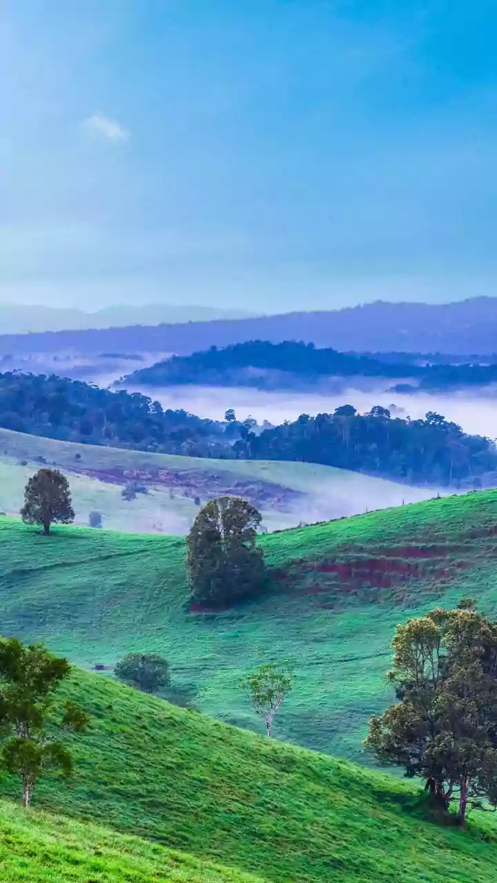 Misty Hills Make Cycling Extra Magical
