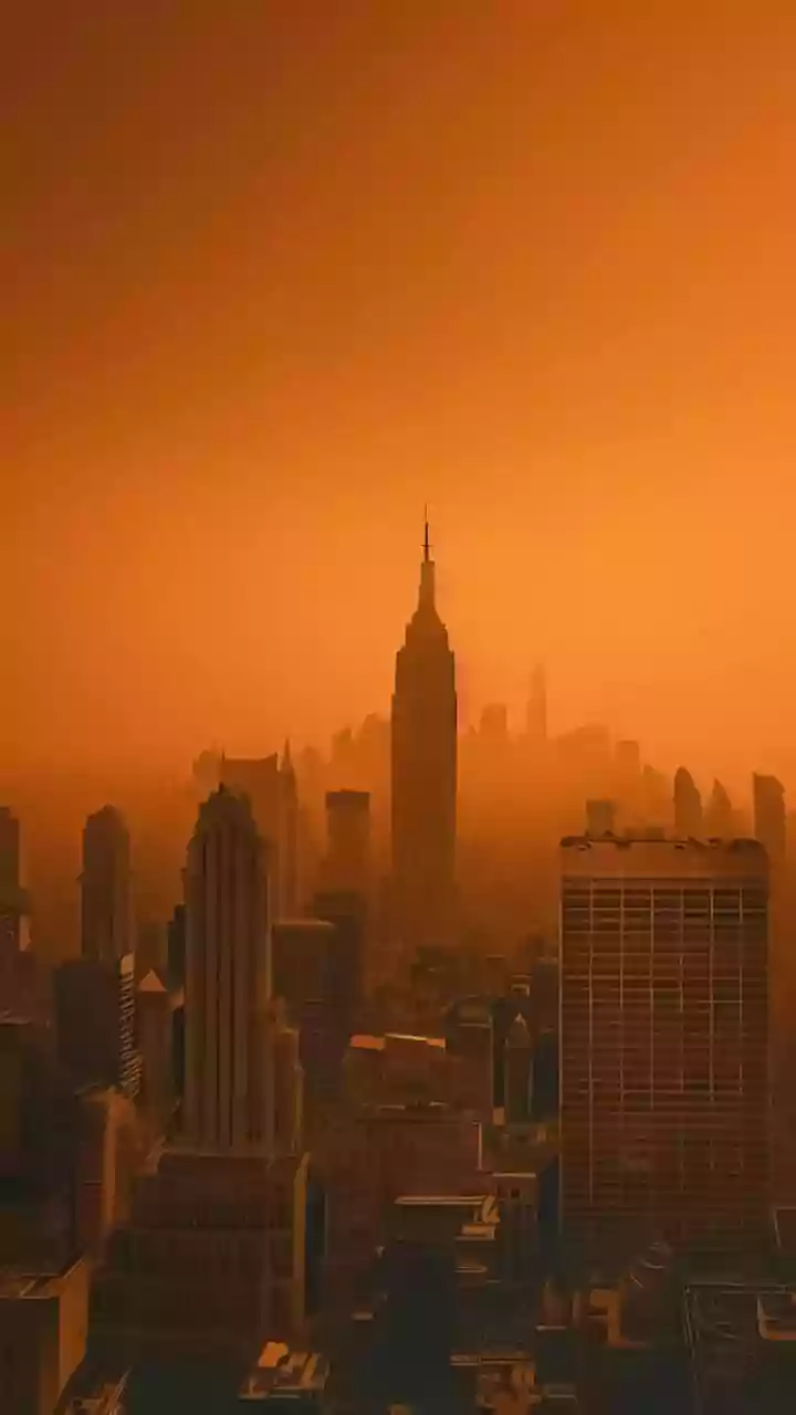 Mumbai air pollution: Bombay HC pulls up BMC commissioner, says action began only after court stepped in