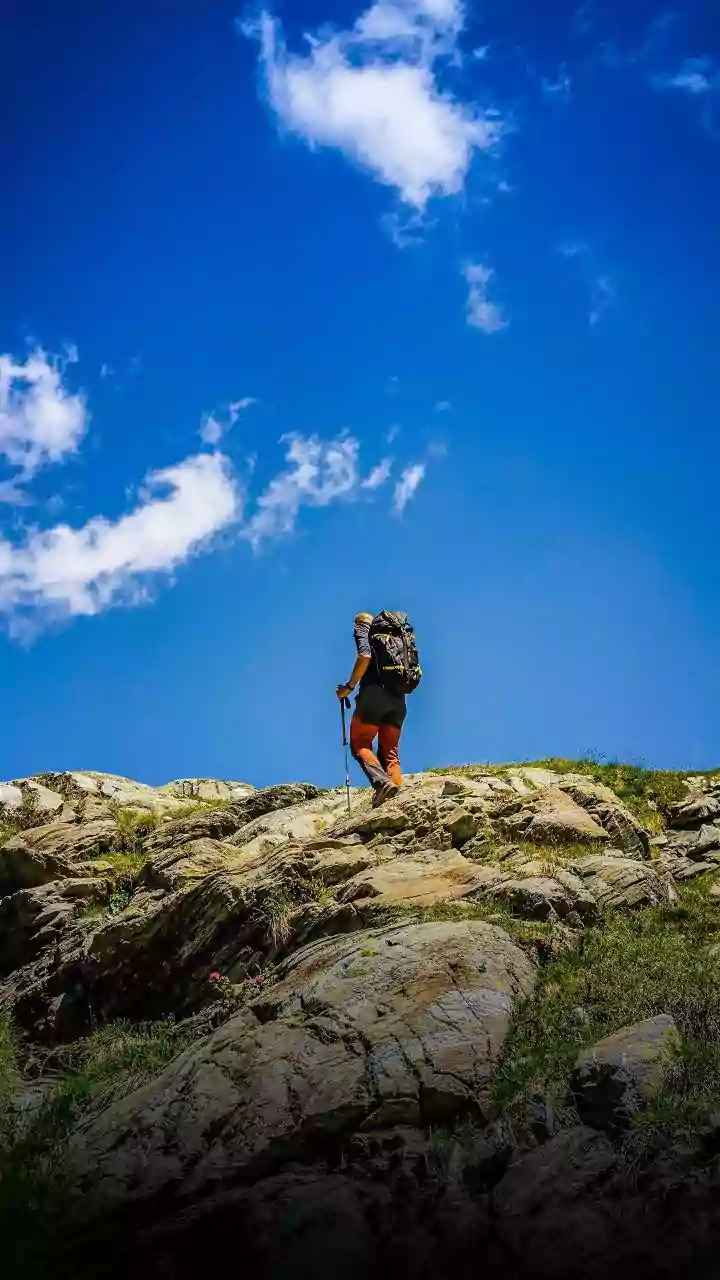 Canadian Rockies Hiking Trails: What Beginners Should Know Before a Mountain Hike