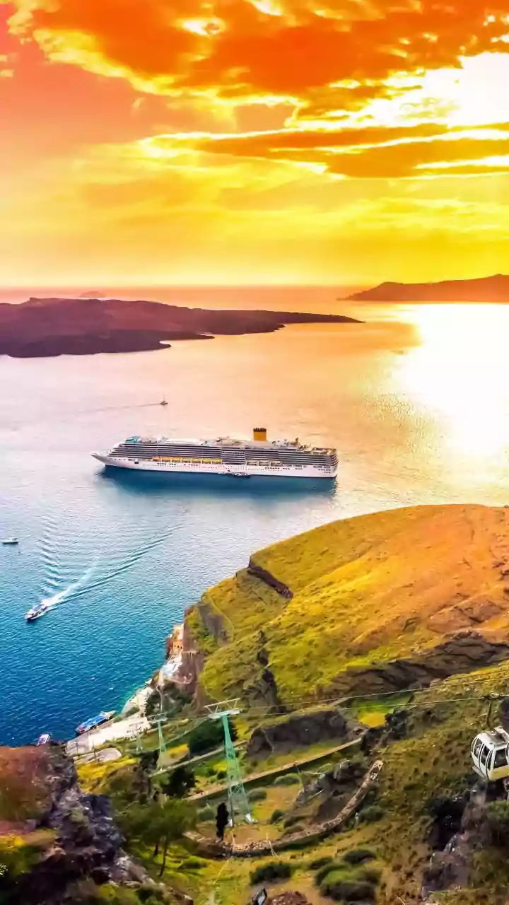 WHO Flags Cruise Hantavirus Outbreak: How Risky Is It, Can It Spread, Should India Worry