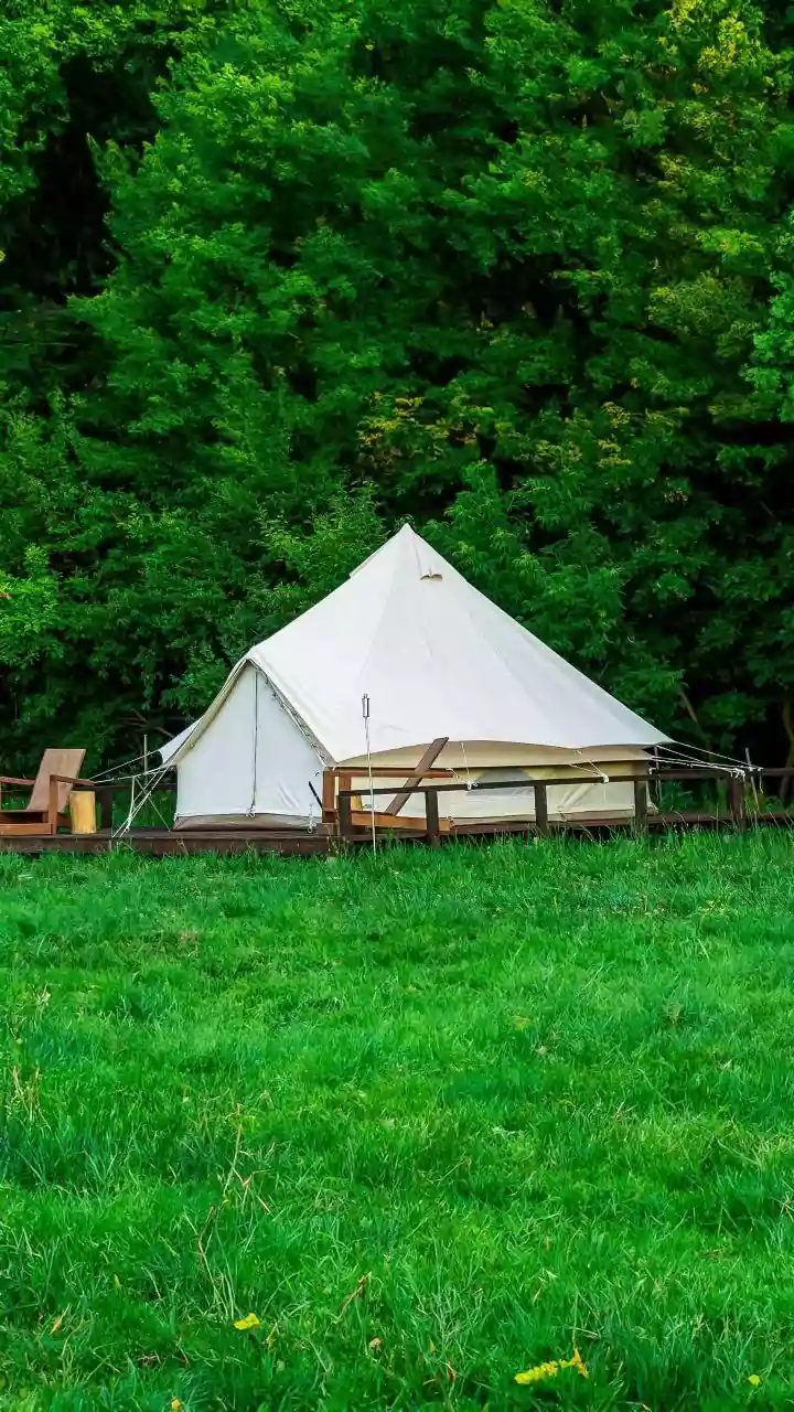 Experience Luxury Glamping Tents Along Mist-Shrouded Wayanad Eco-Trails