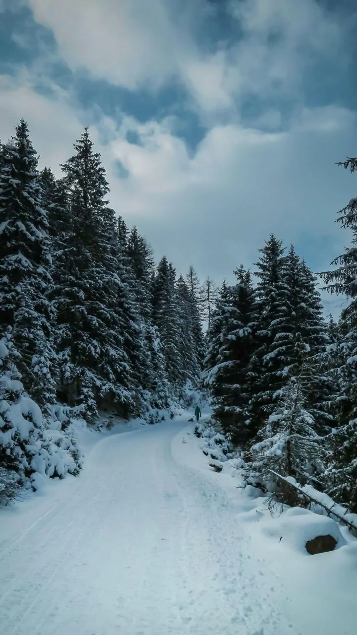 Gesause National Park: Austria's Ultimate Winter Snowshoeing Adventure Awaits!