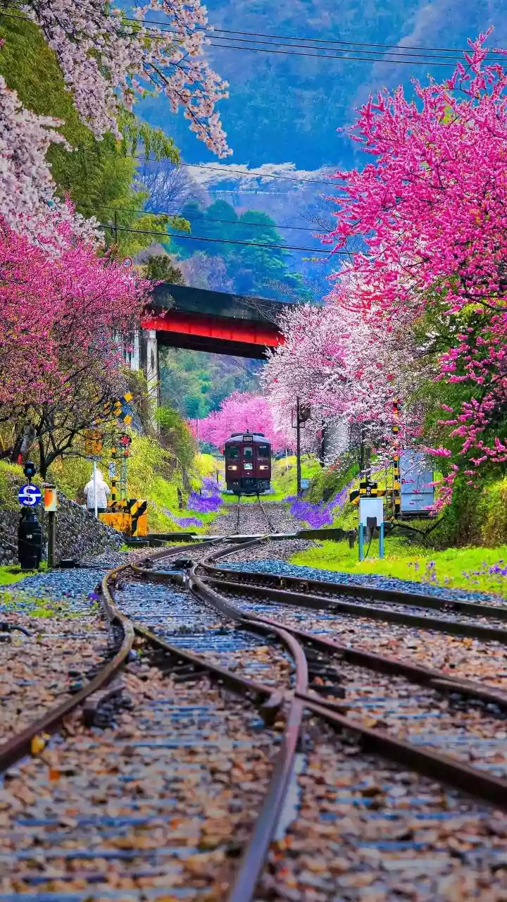 At least 21 killed as high-speed trains derail in southern Spain near Adamuz