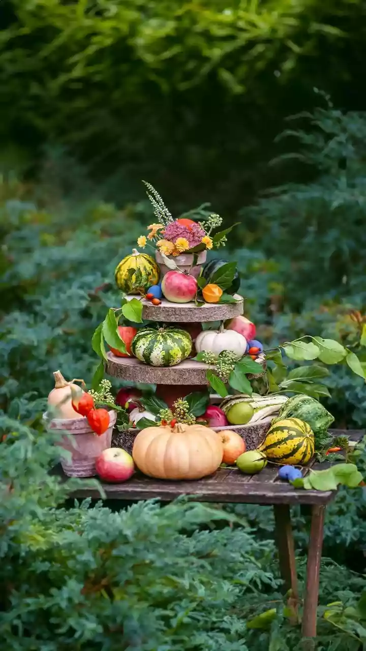 Healthy Habits: Your Everyday Guide to Wellness