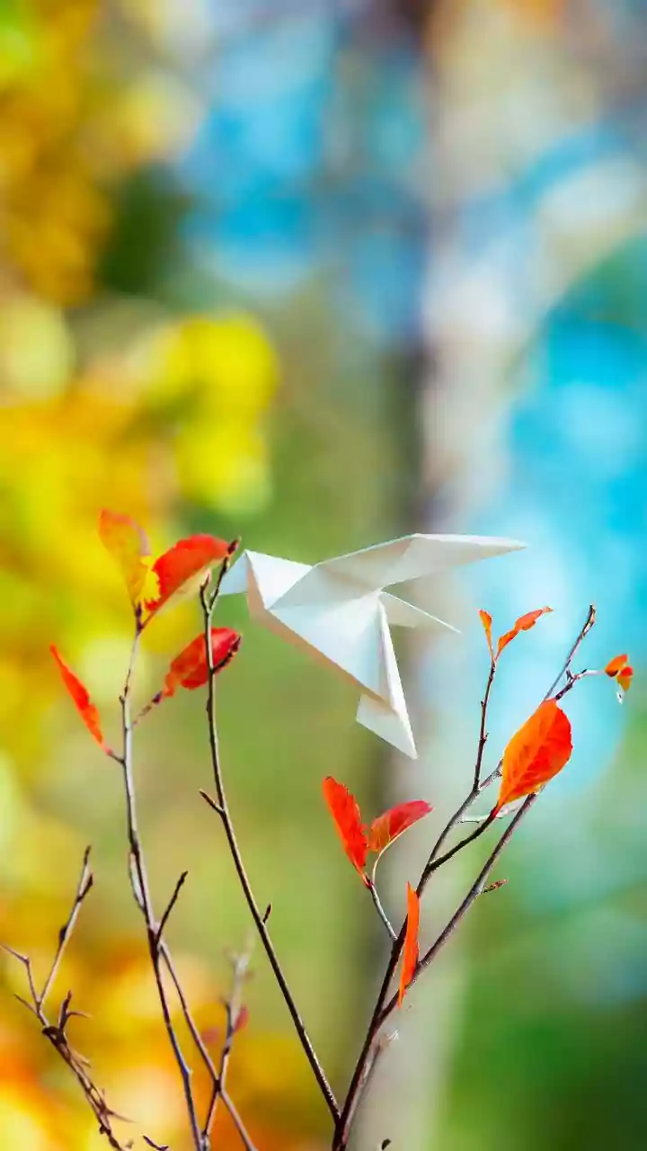 Simple steps, familiar tools – crafts kids actually finish