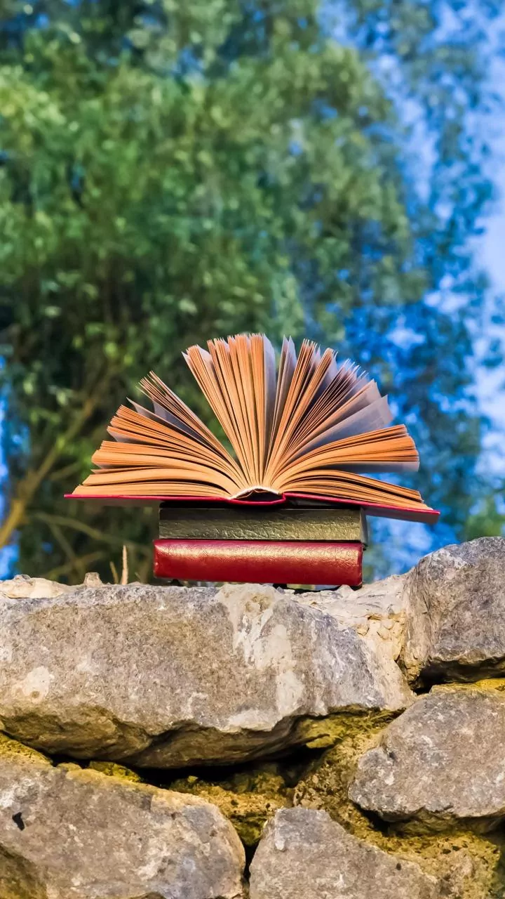 Books Outdoors Work Best with Storage, Staffing and Weather Protection