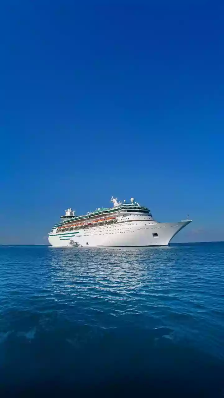 New Hantavirus Case Confirmed As Cruise Ship Evacuates 3 Passengers: How Worried Should You Really Be?
