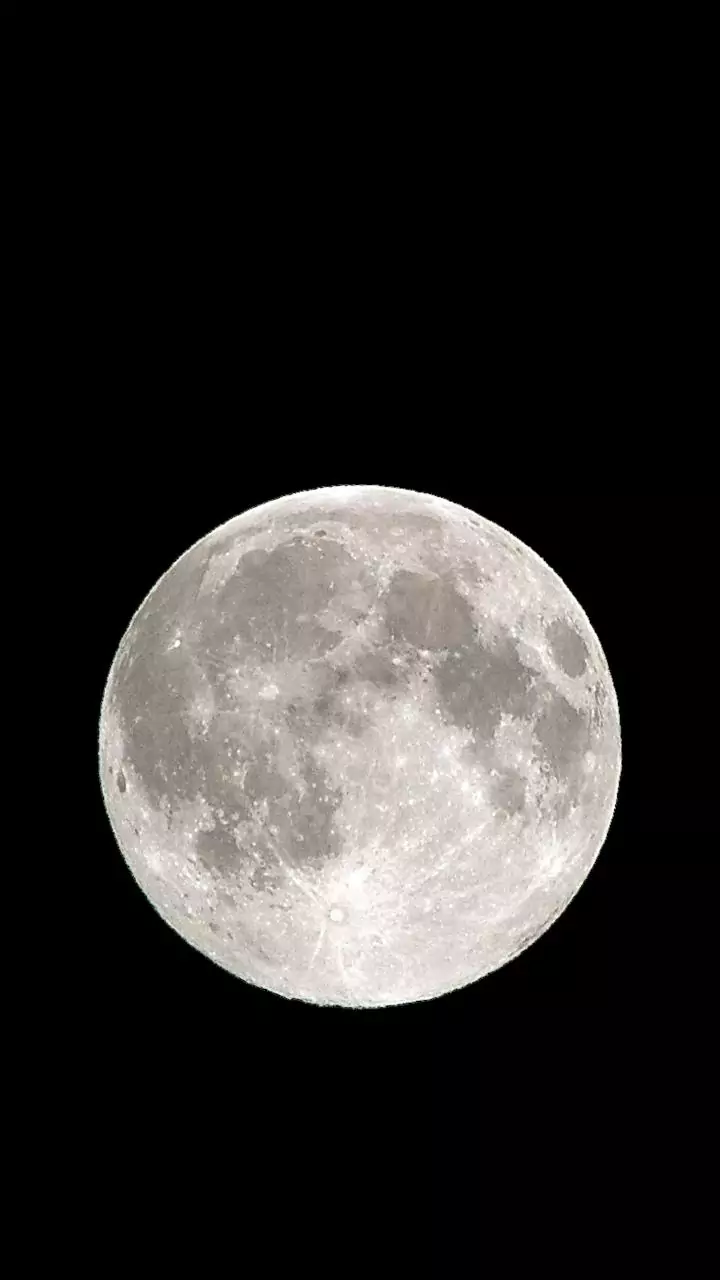 NASA finds Earth microbes survive days on Moon's south pole