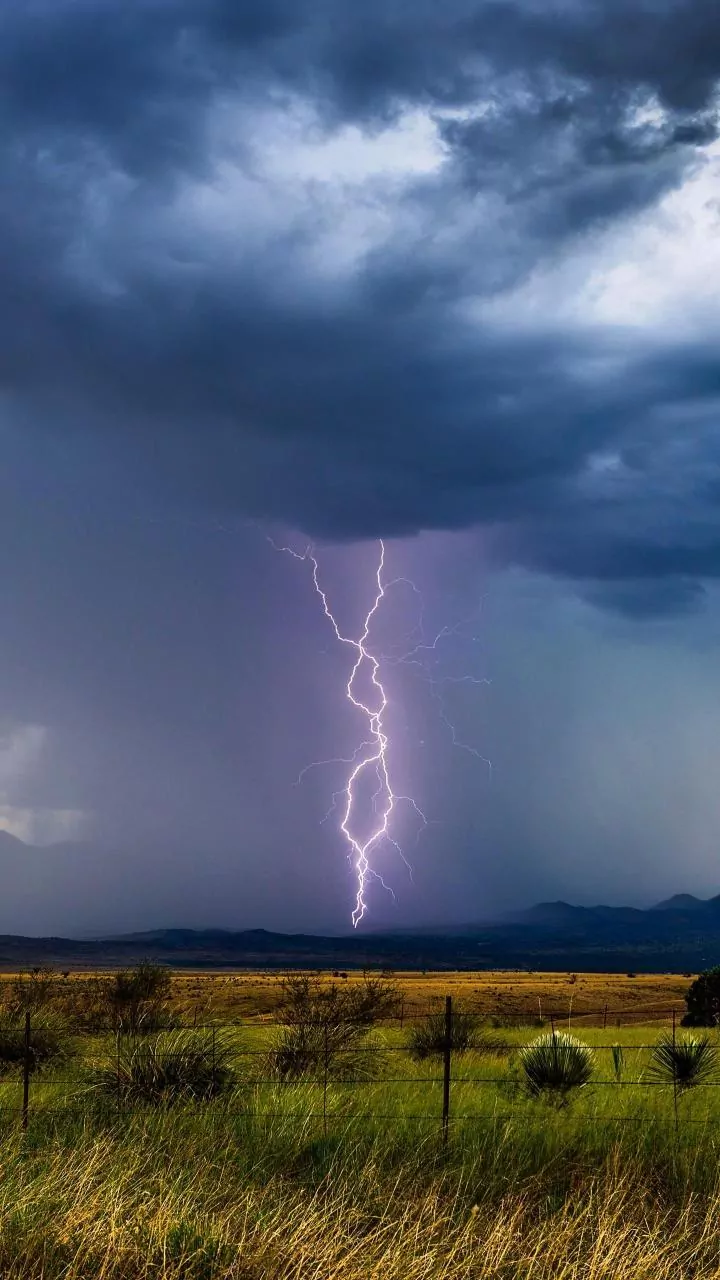 India's Monsoon And El Niño: Why Outcomes Can Differ