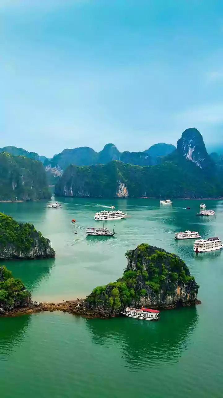 Why Vietnam Remains The Top Pick For Indian Travellers Seeking Quick Budget Abroad