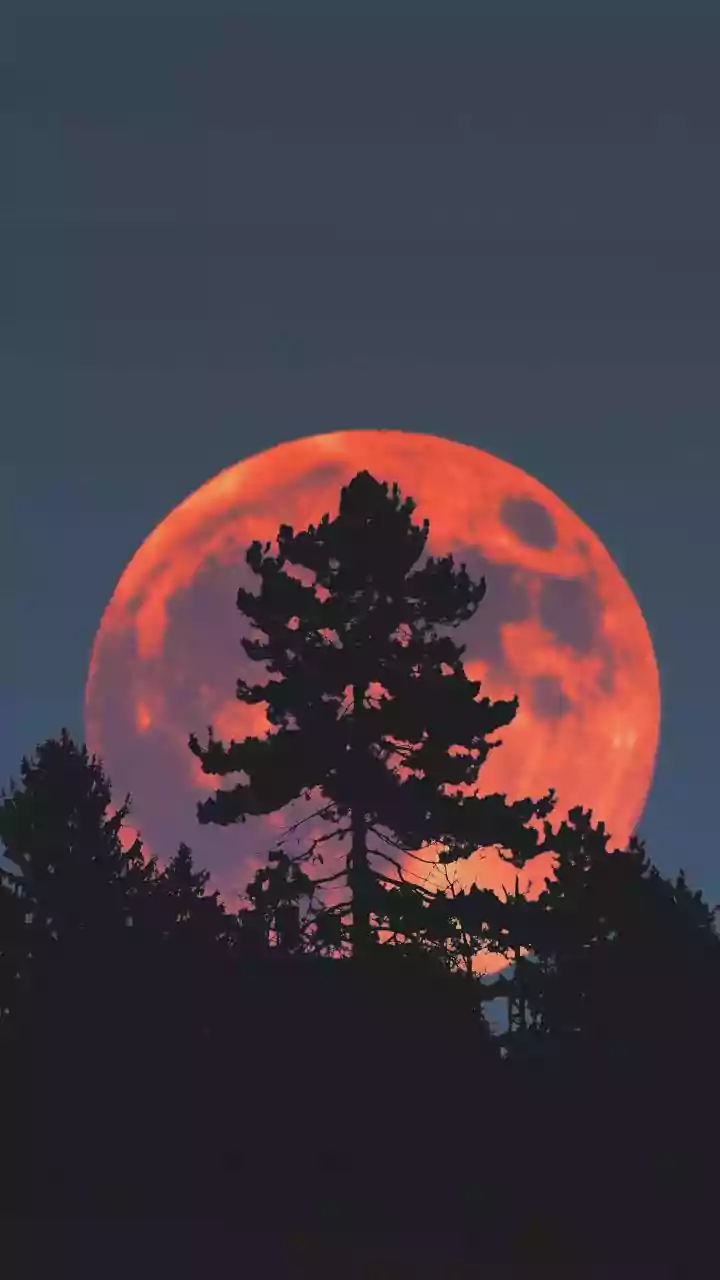 What Causes A Lunar Eclipse And How Can You Watch One Safely?