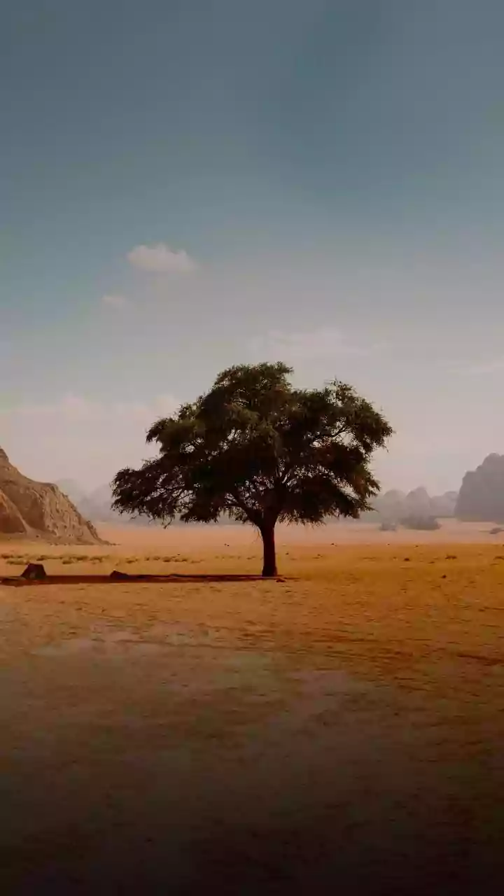 The New Student Workshop On Environmental AI: Understanding Real Climate Problems