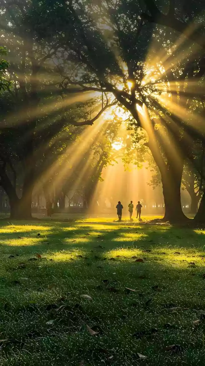 Why Stepping Outside Early Every Day Promotes Restful Night Sleep And Morning Alertness