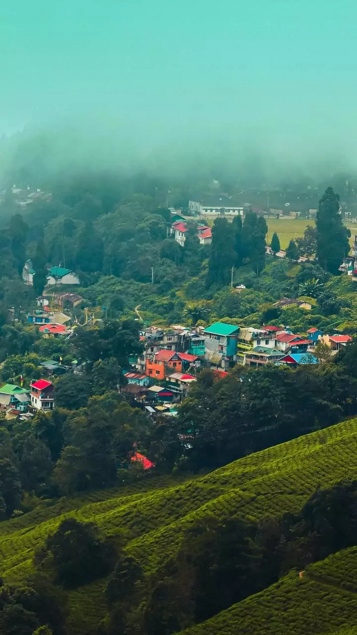 Christmas week bank holidays: Northeast states get extra-long breaks