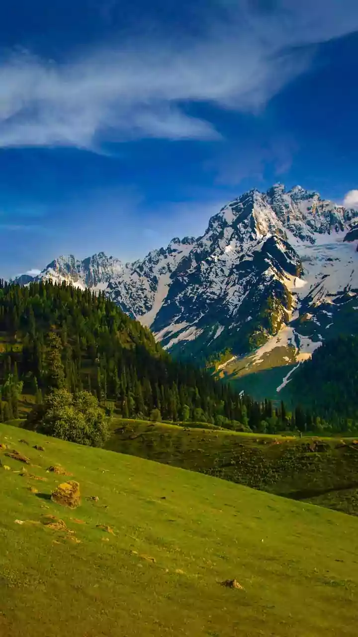 'Gunah Te Bai Kya?' Kashmiris 'Sell' Sonmarg Snow As Some Districts Wait For Snowfall; Hilarious Viral Video